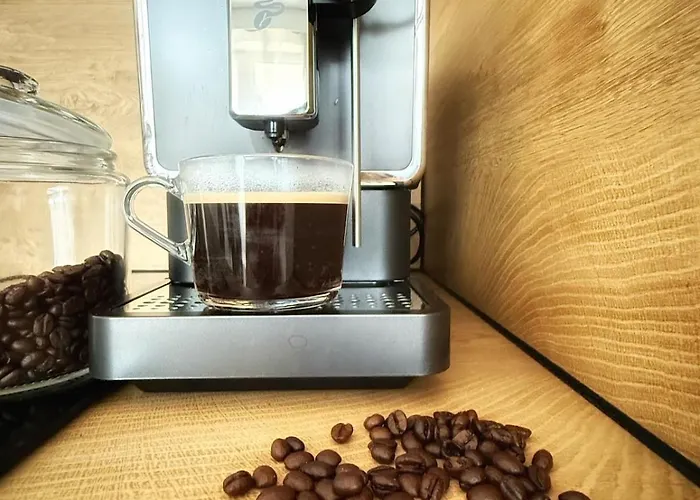 Ferienwohnung Chemnitz